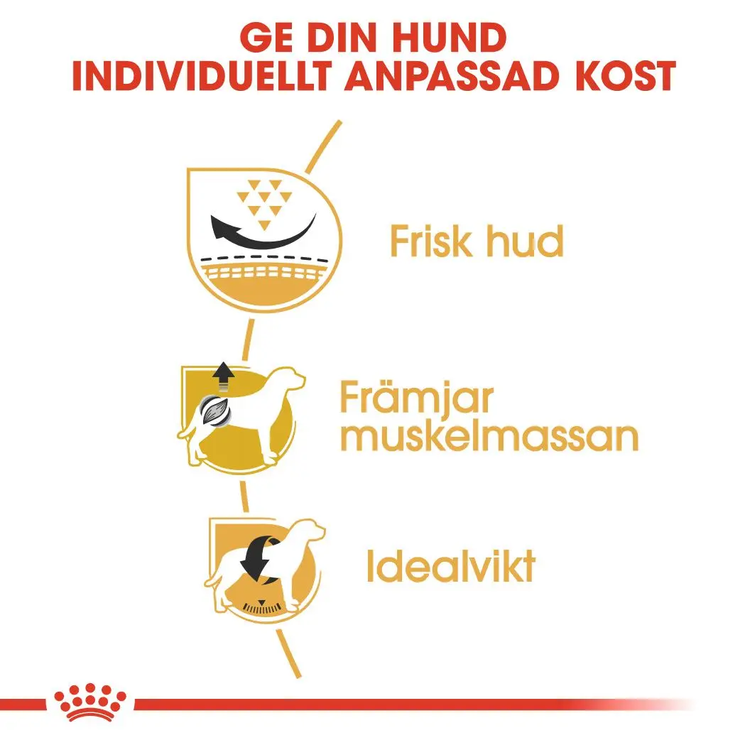 Pug Adult Torrfoder för hund
