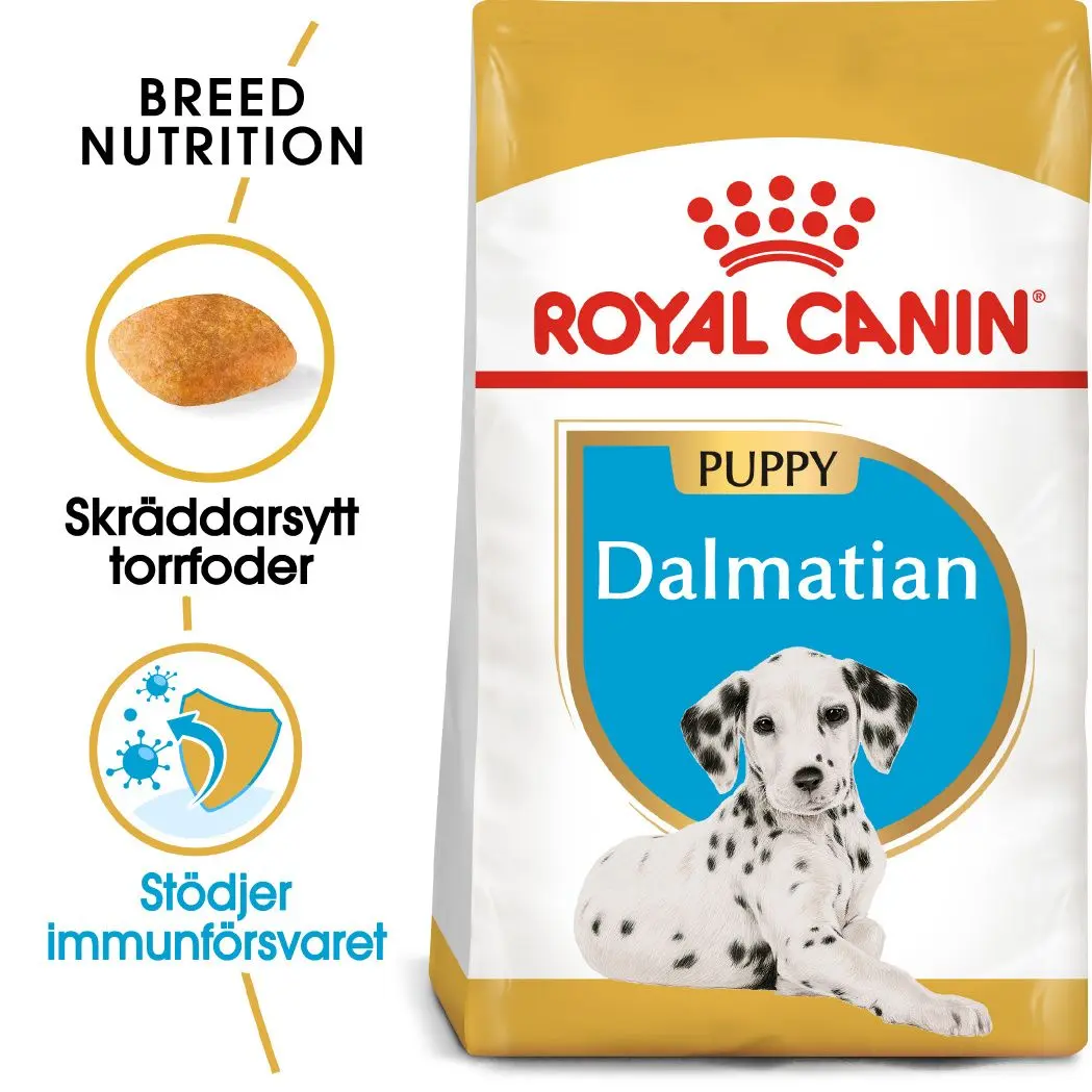 Dalmatiner valp