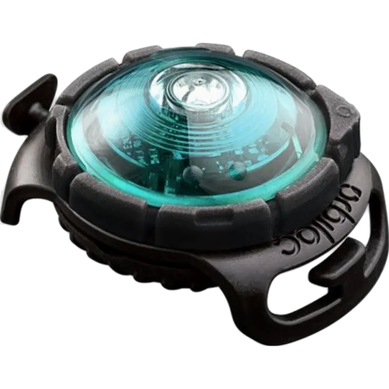 Safety Light Dog Dual LED - With Quick Mount & Adjustable Strap Turquoise 5 km