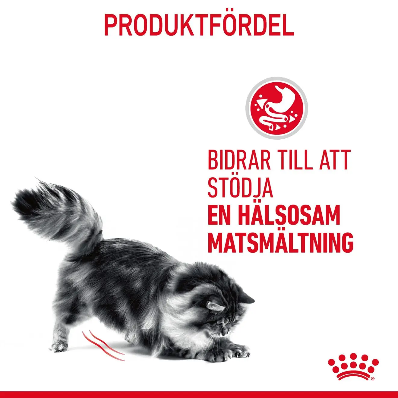 FCN Digest Sensitive Gravy Adult kissan märkäruoka