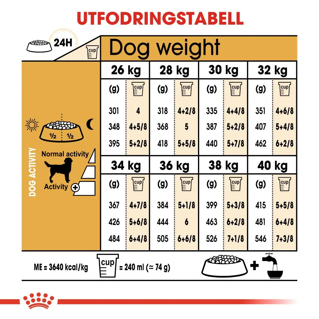 Labradorinnoutaja Aikuisten kuivaruoka koirille