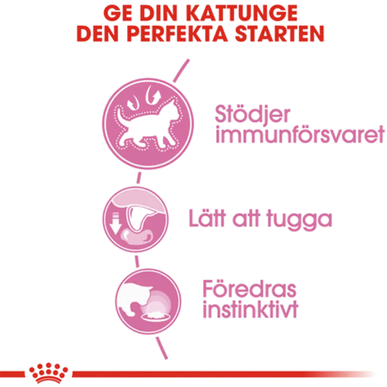 Kitten Gravy kissanpennun märkäruoka