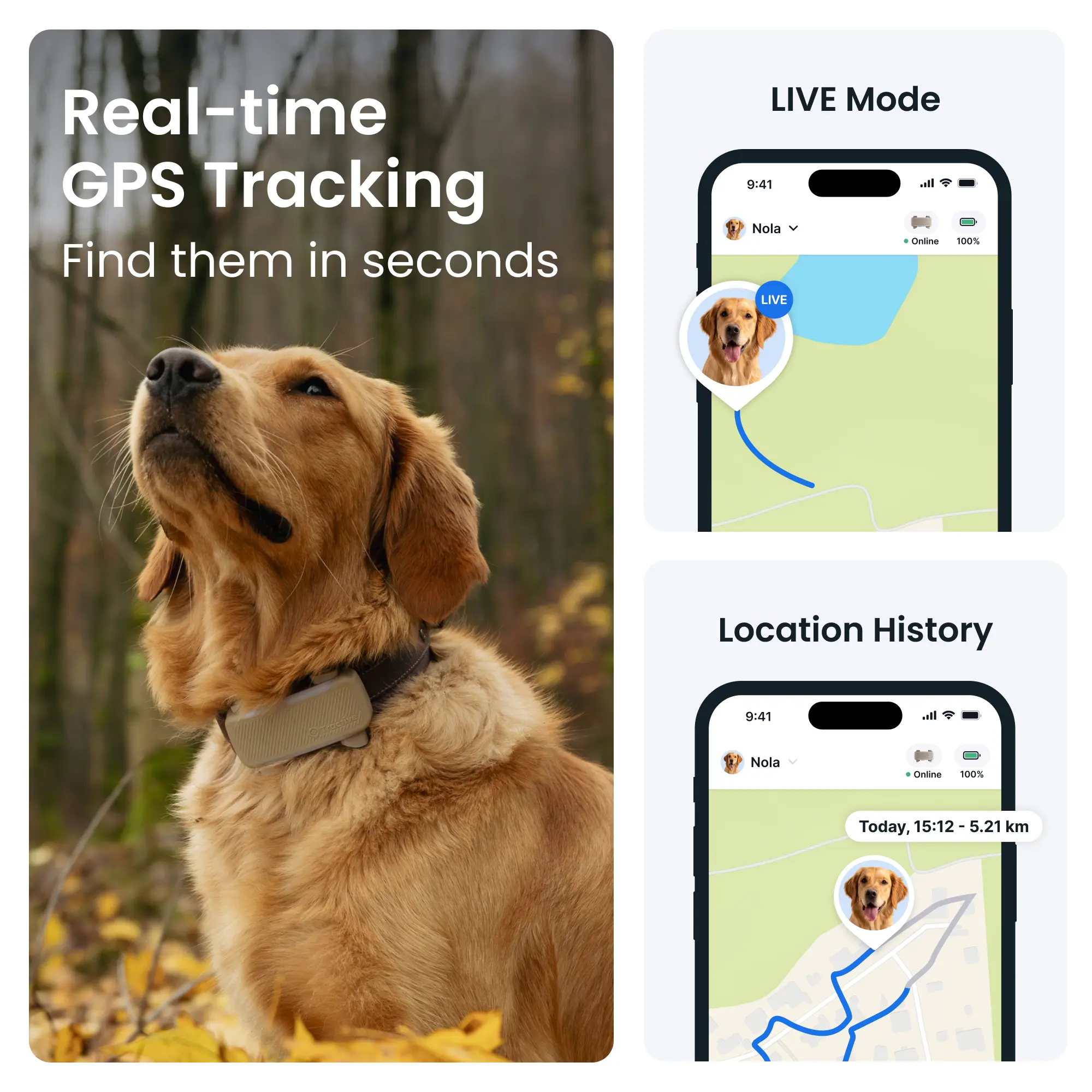 Tractive DOG 6 XL GPS-tracker för hund över 20 kg Brun