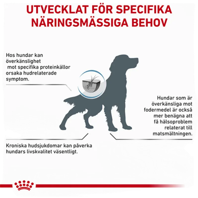 Derma Hypoallergenic torrfoder för hund
