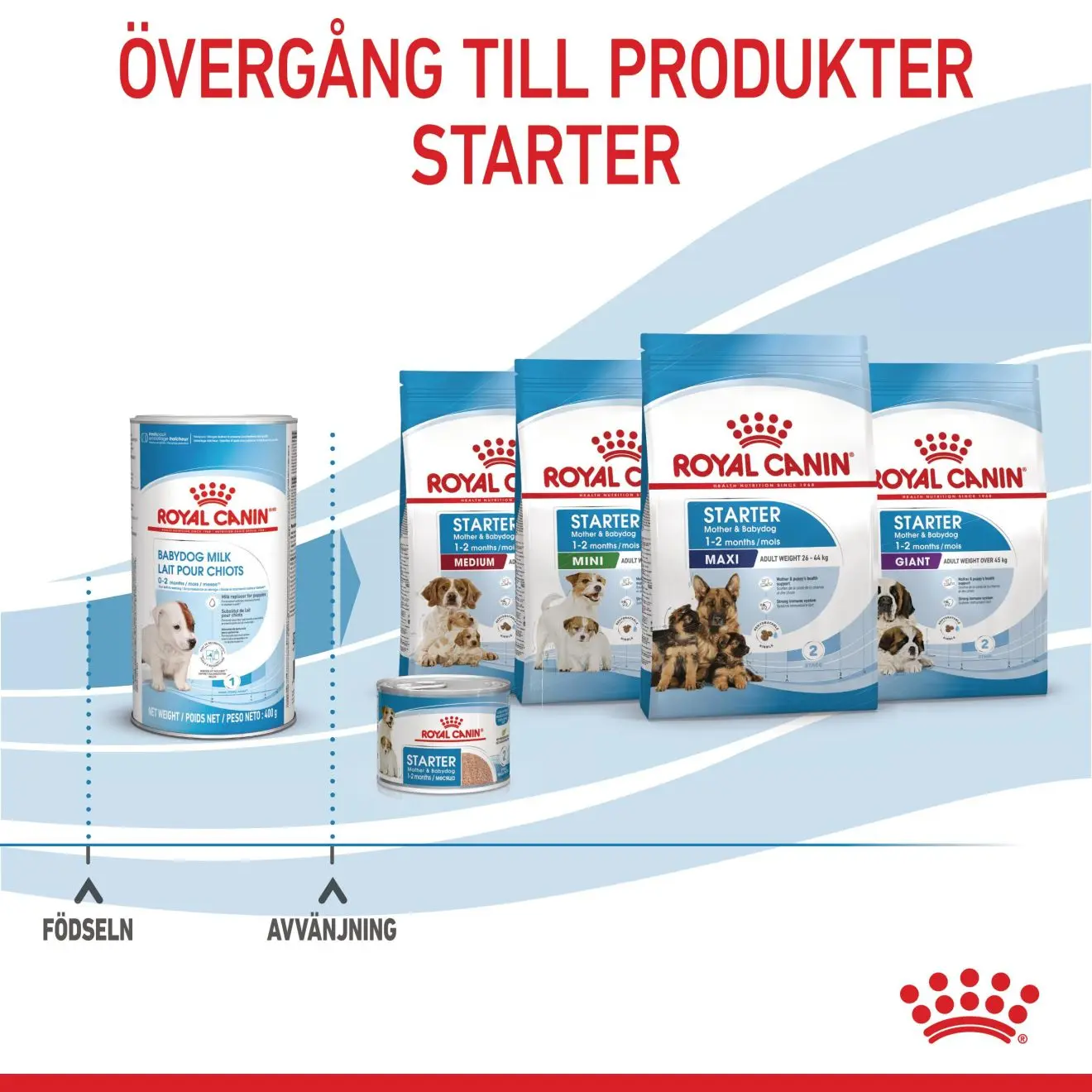 Babydog Milk Starter Formula koirille