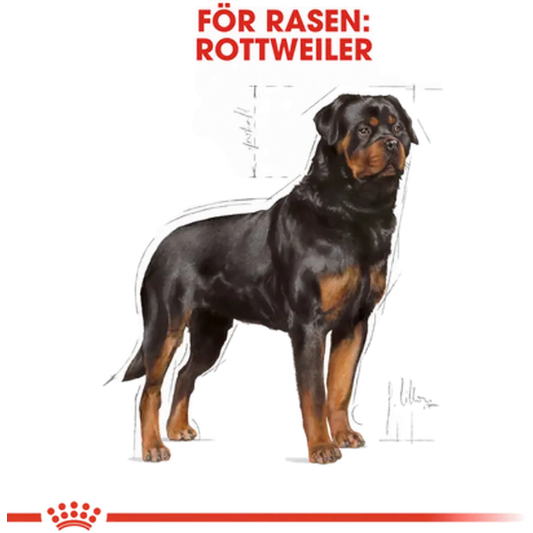 Rottweiler Adult Dry food koirille