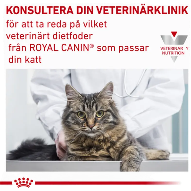 Derma Sensitivity Control kissan kuivaruoka