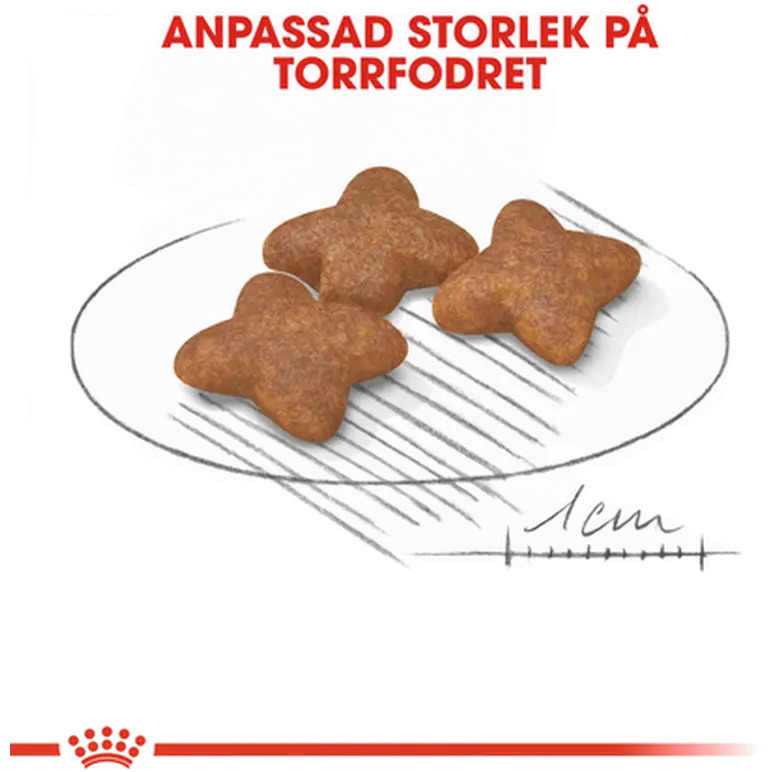Mini Adult Torrfoder för hund