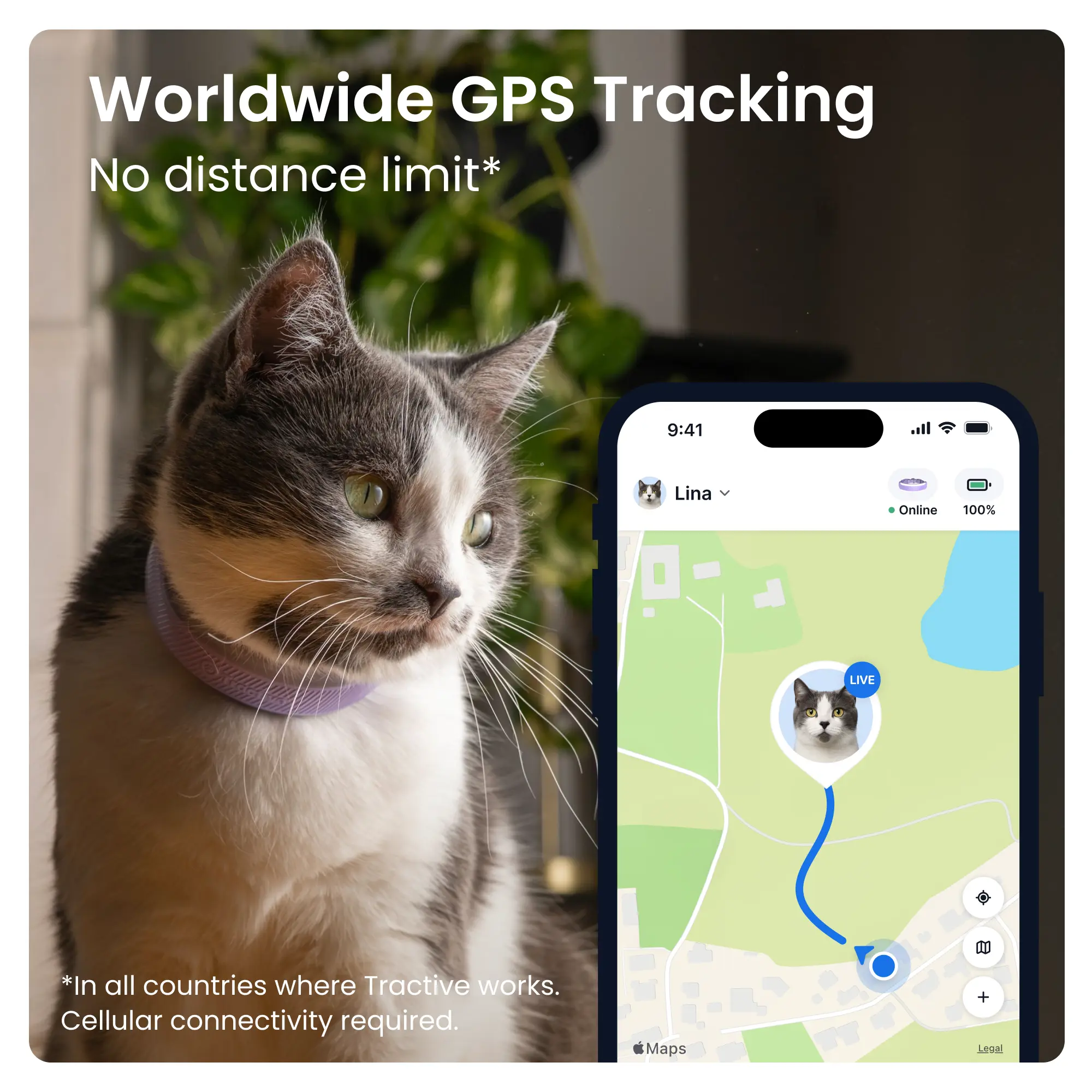 CAT 6 Mini GPS Lavendel