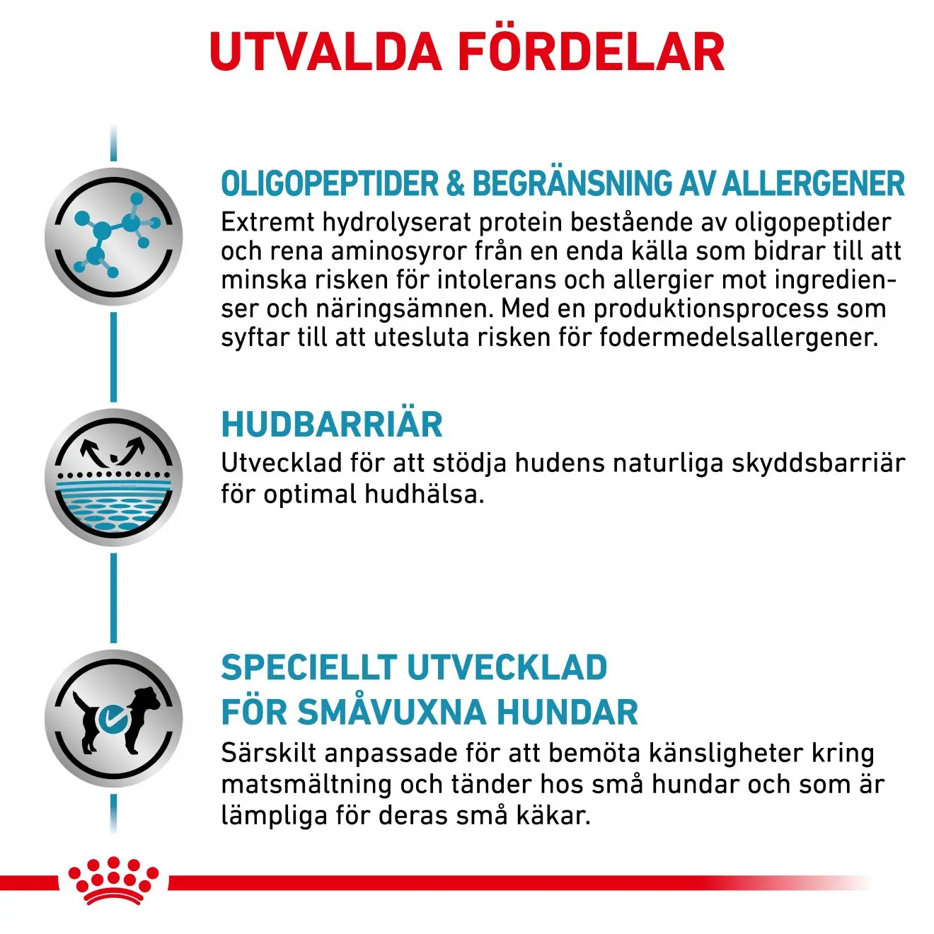 Derma Anallergenic Small Dog kuivaruoka koirille