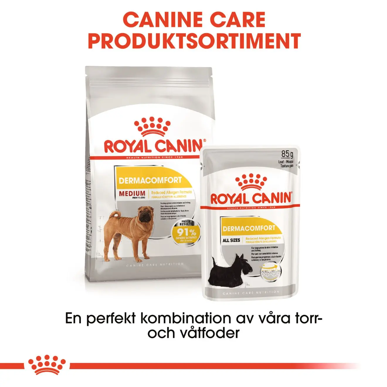 Dermacomfort Adult Medium kuivaruoka koirille