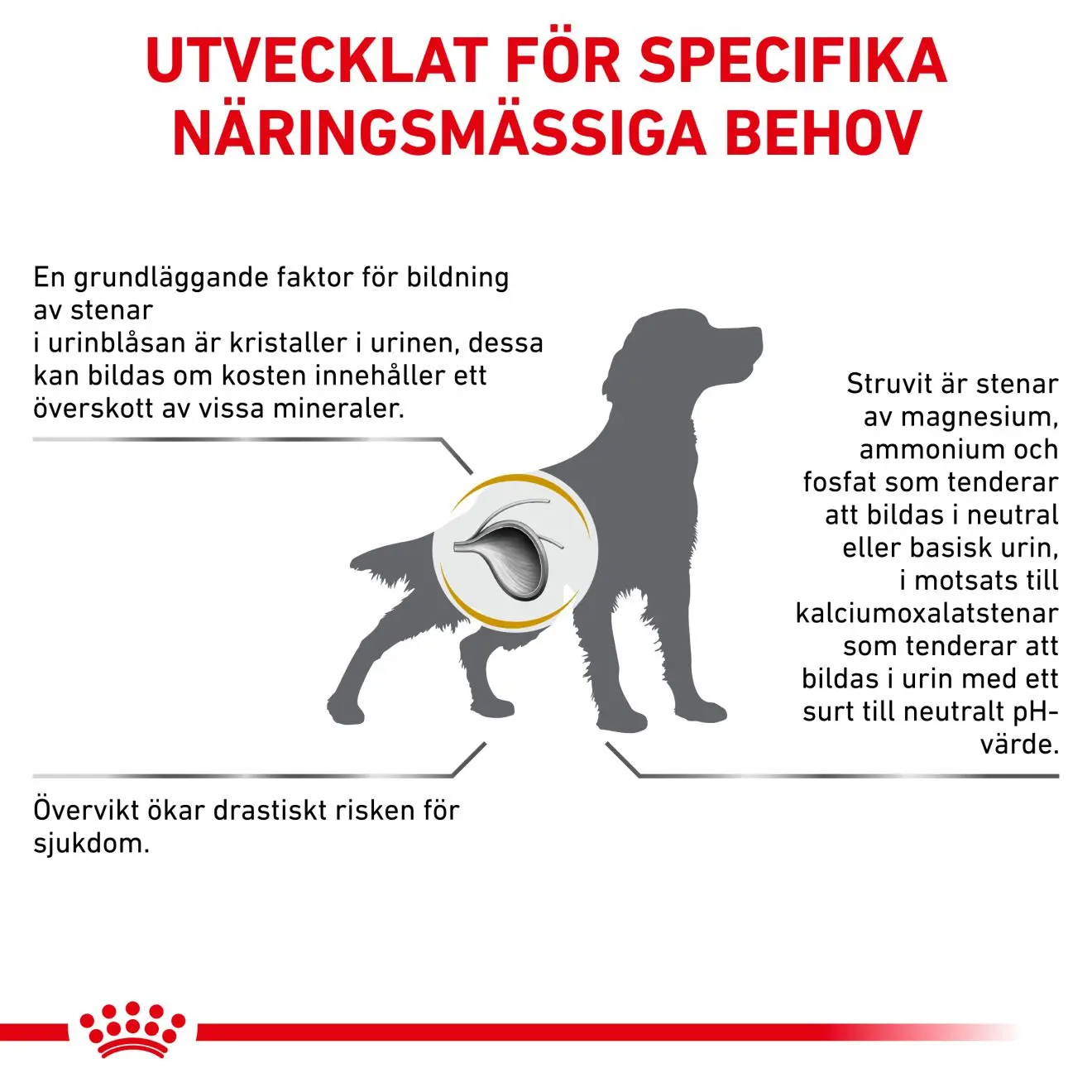 Urinary S/O Kohtalaisen kalorinen kuivaruoka koirille