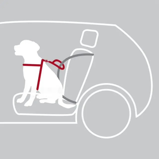 Auton valjaat Dog Protect (uusi karbiini)