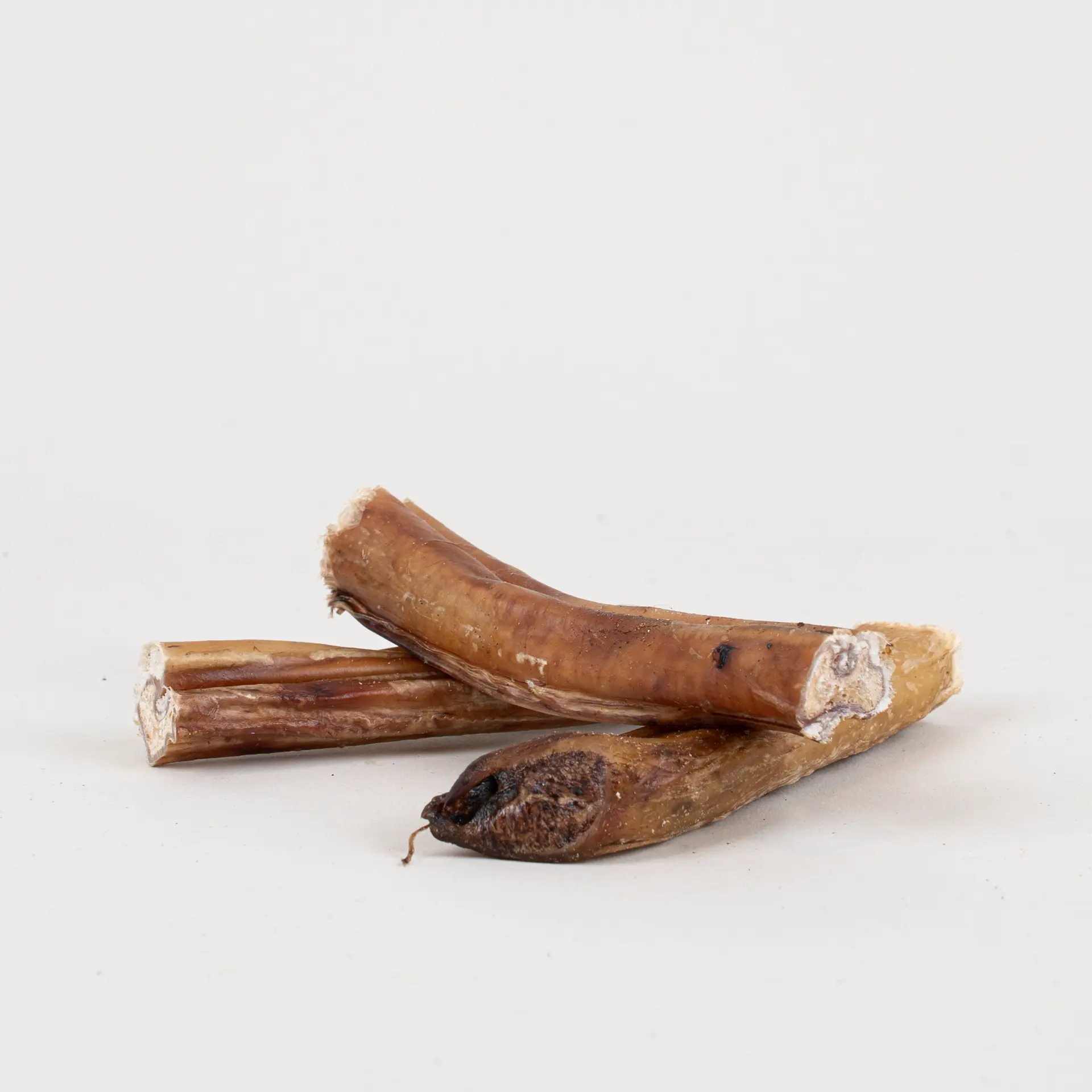Tjurmuskel