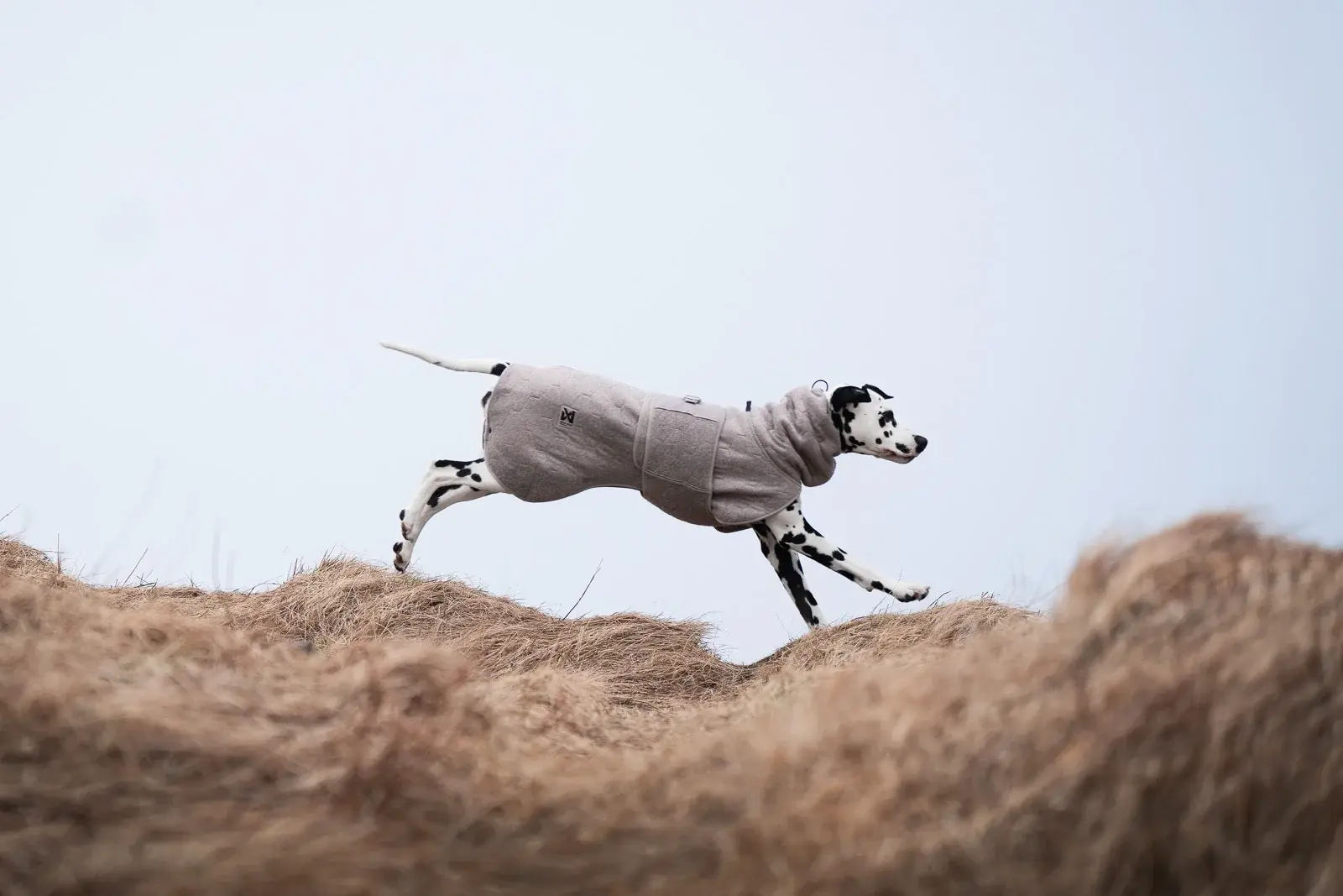 Non-stop dogwear tørrekåbe til hund – hurtig tørring efter bad