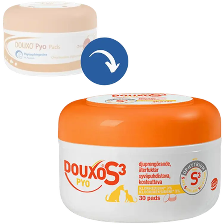 S3 Pyo Klorhexidin Pads