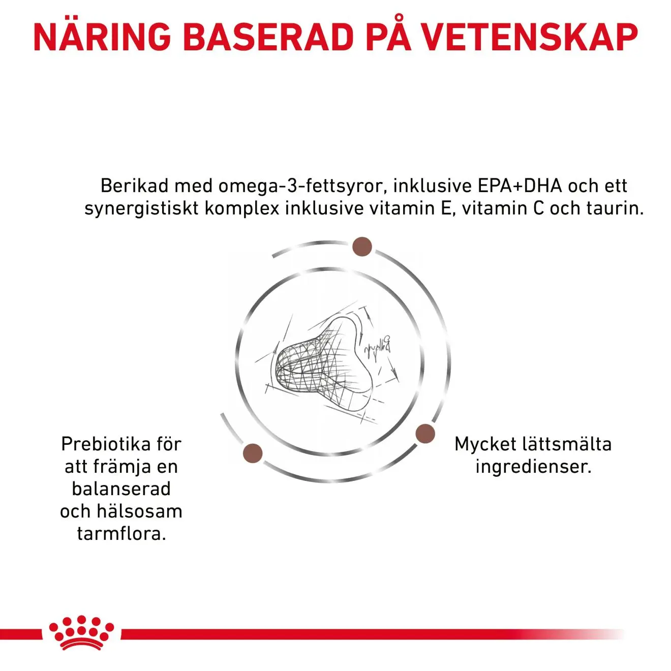 Gastro Intestinal Fibre Response kissan kuivaruoka