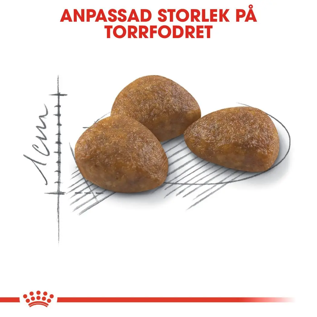 Outdoor 7+ Ageing Torrfoder för katt
