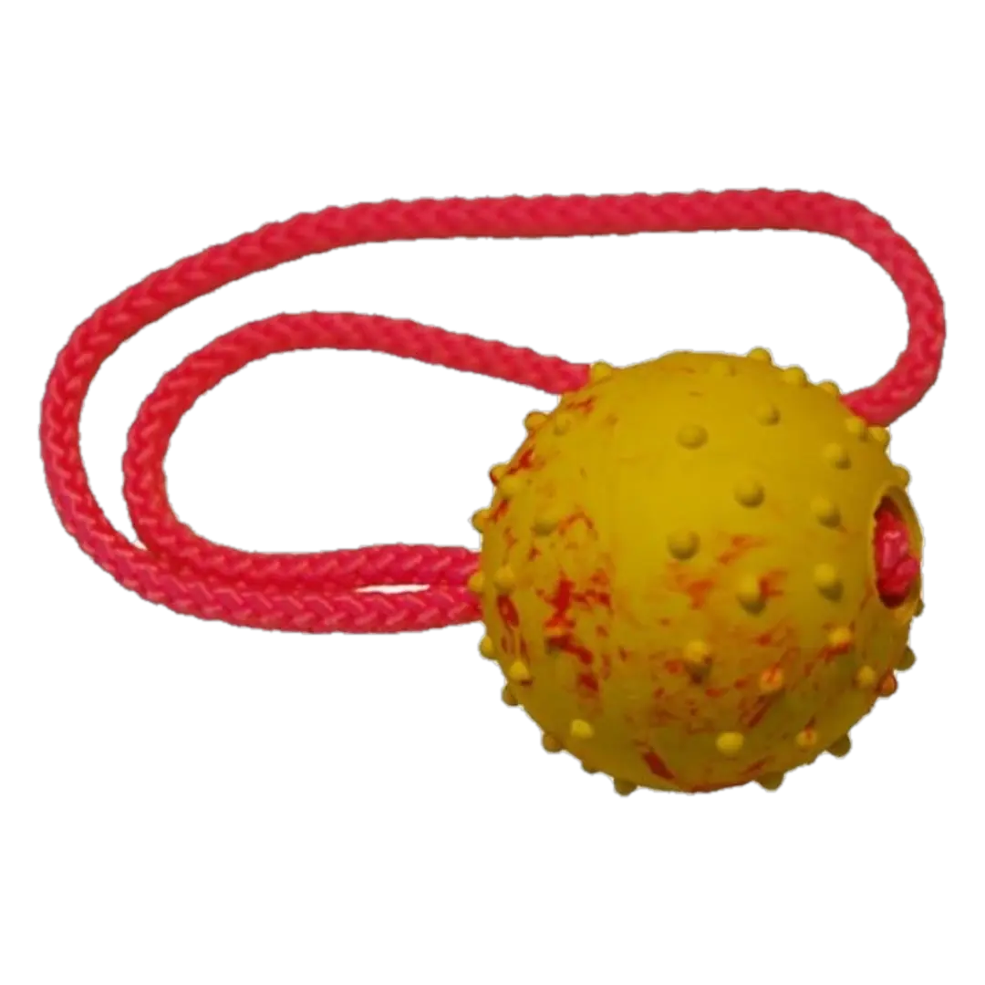 Gappay Treningsball med Håndtak Gummi 1 stk