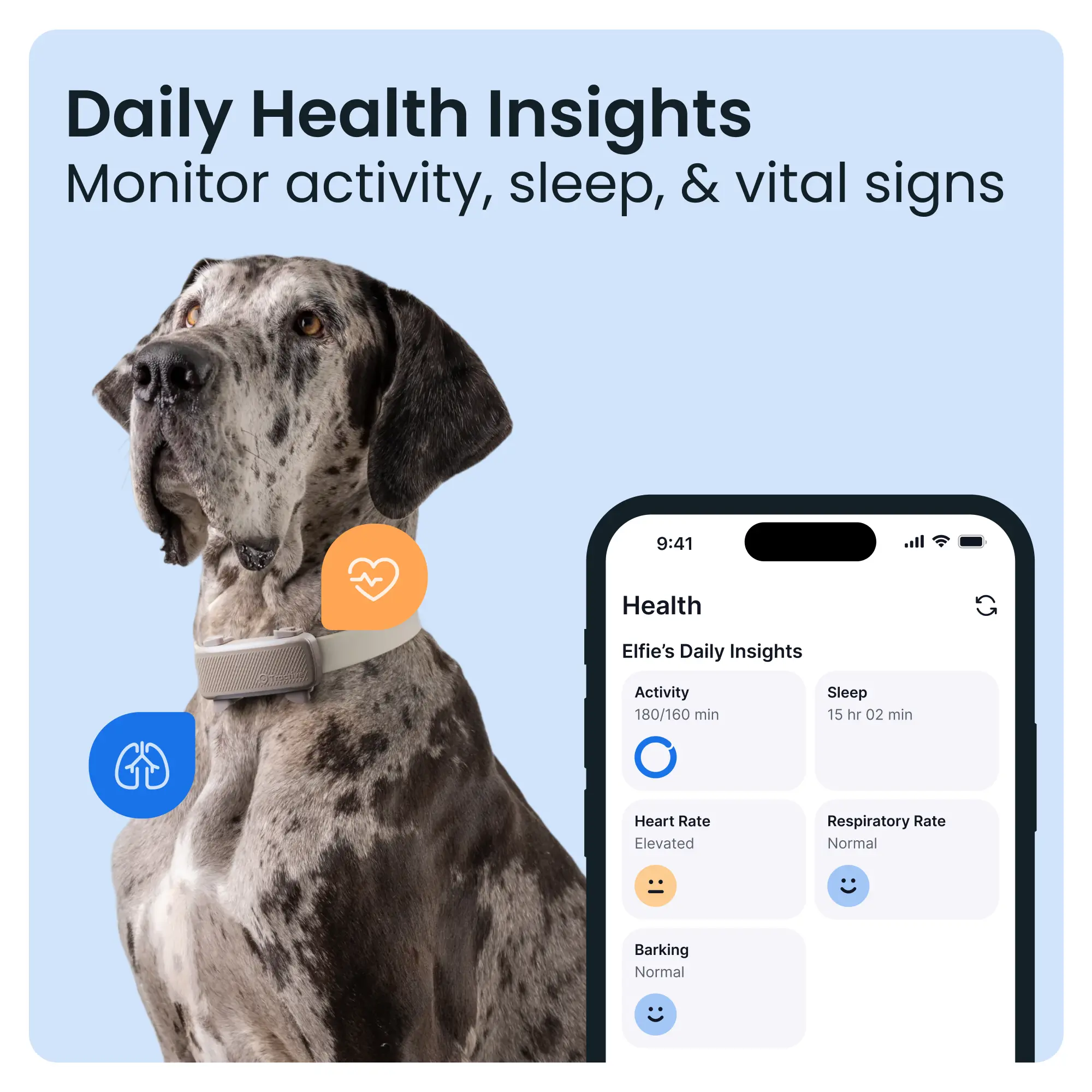 Tractive DOG 6 XL GPS-tracker för hund över 20 kg Brun