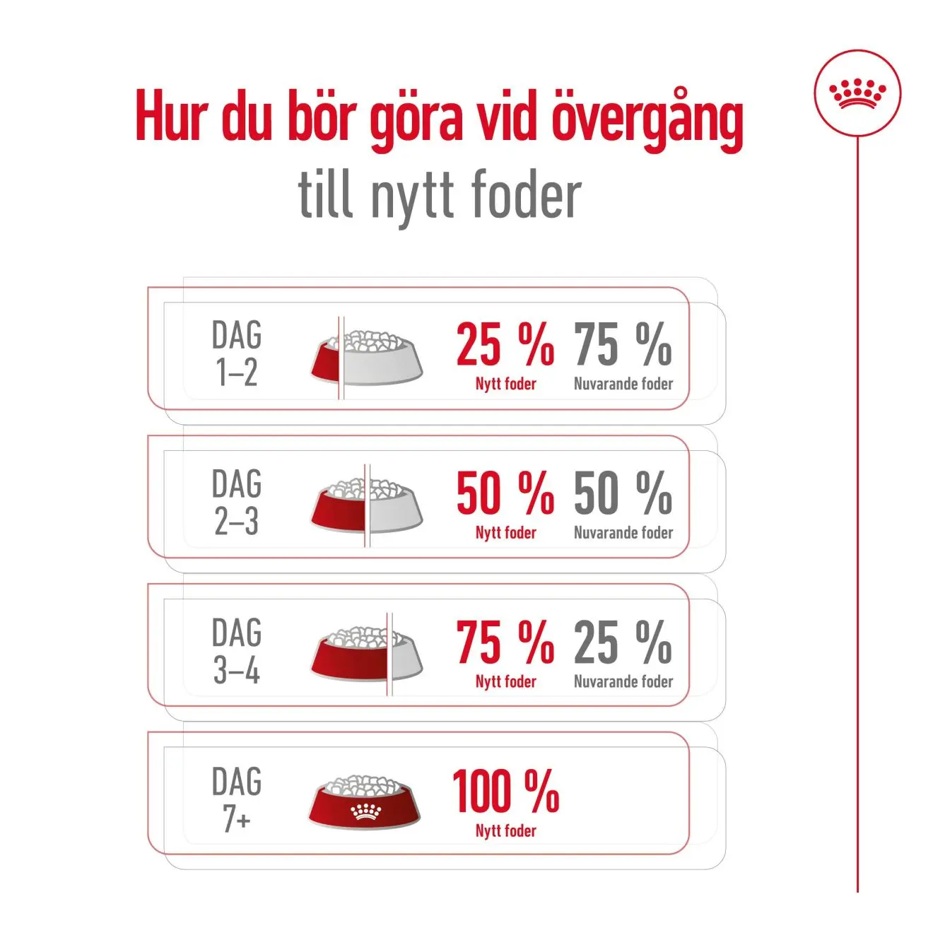 Mini Ageing 12+ Ageing Kuivaruoka koirille