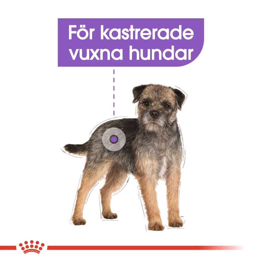Sterilised Adult Mini Torrfoder för hund