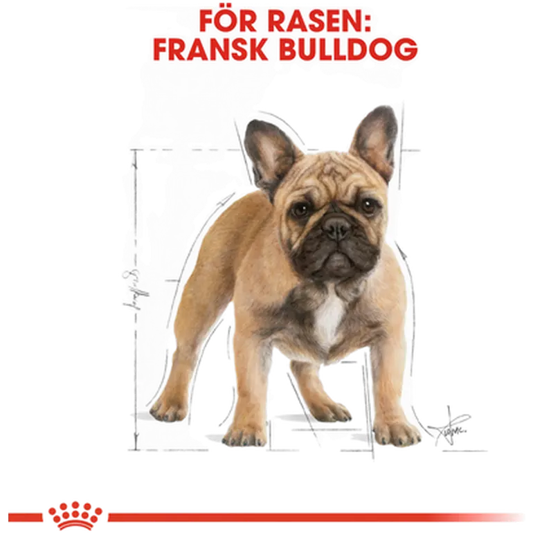 Ranskanbulldoggi Adult Kuivaruoka Ranskanbulldoggille