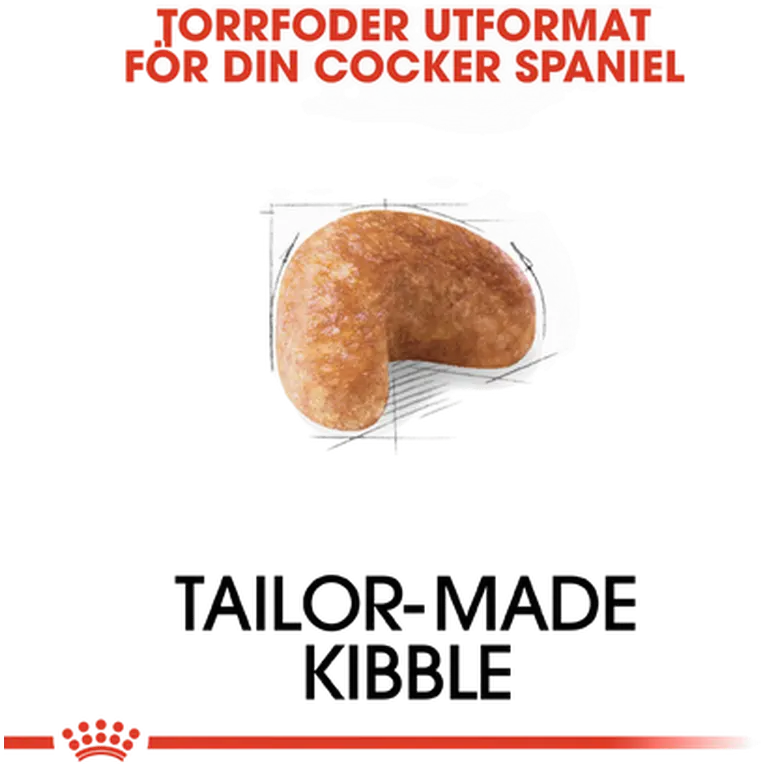 Cocker Spaniel Adult Dry food koirille