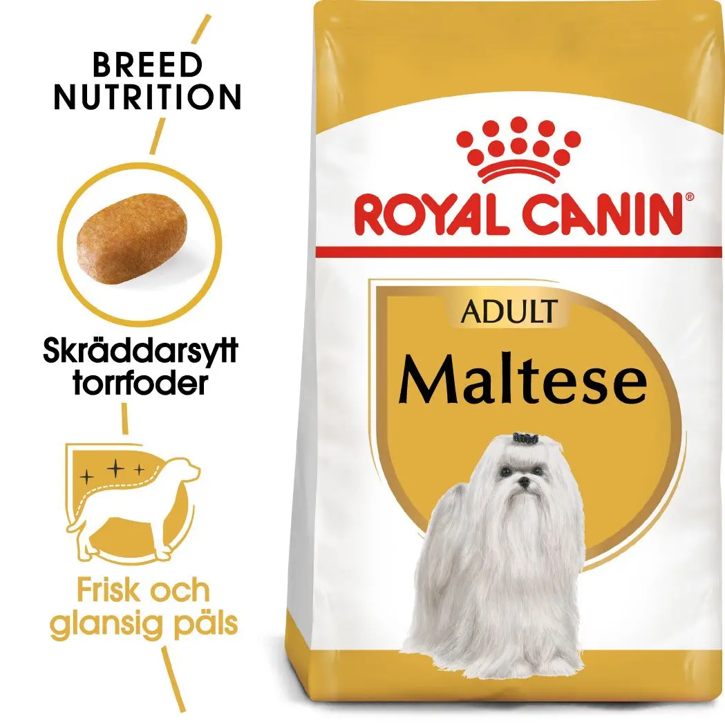 Maltese Adult Kuivaruoka koirille