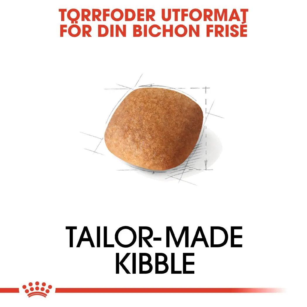 Bichon Frisé Adult Kuivaruoka koirille