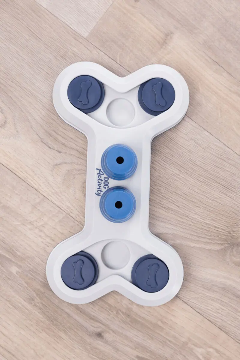 Koiran toiminta Flip Bone taso 1