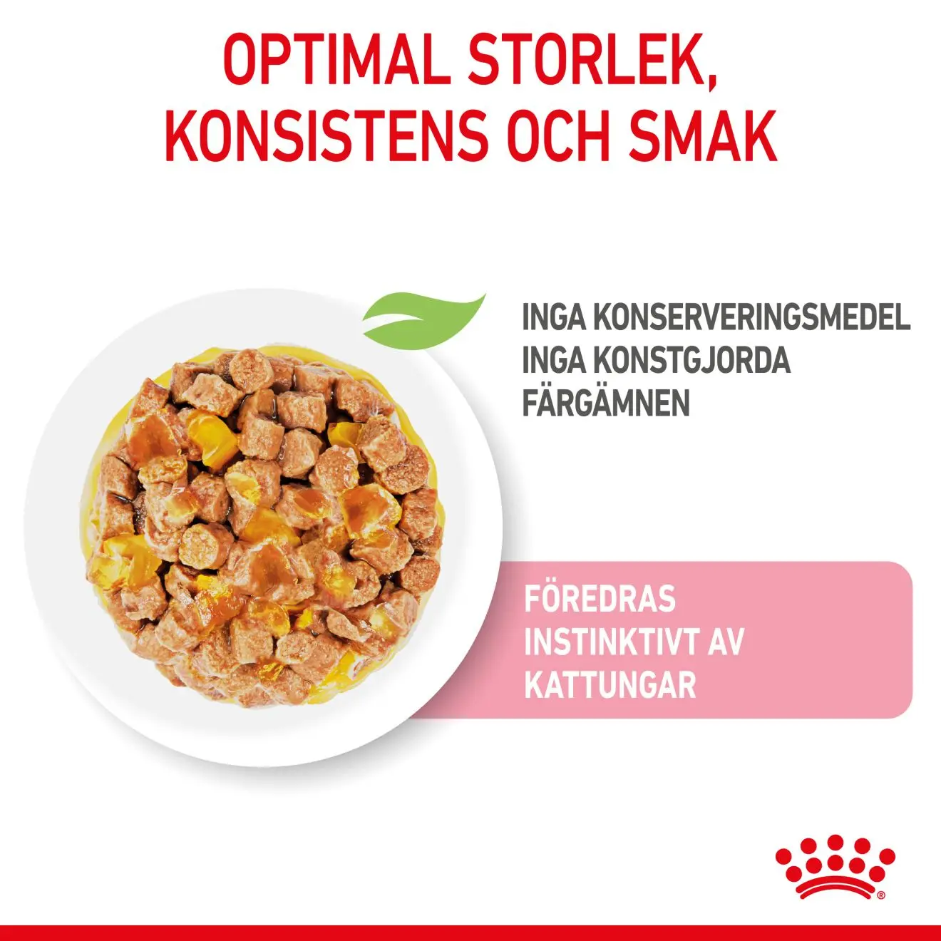 Kitten Sterilised Hyytelö Märkäruoka Kissanpennulle