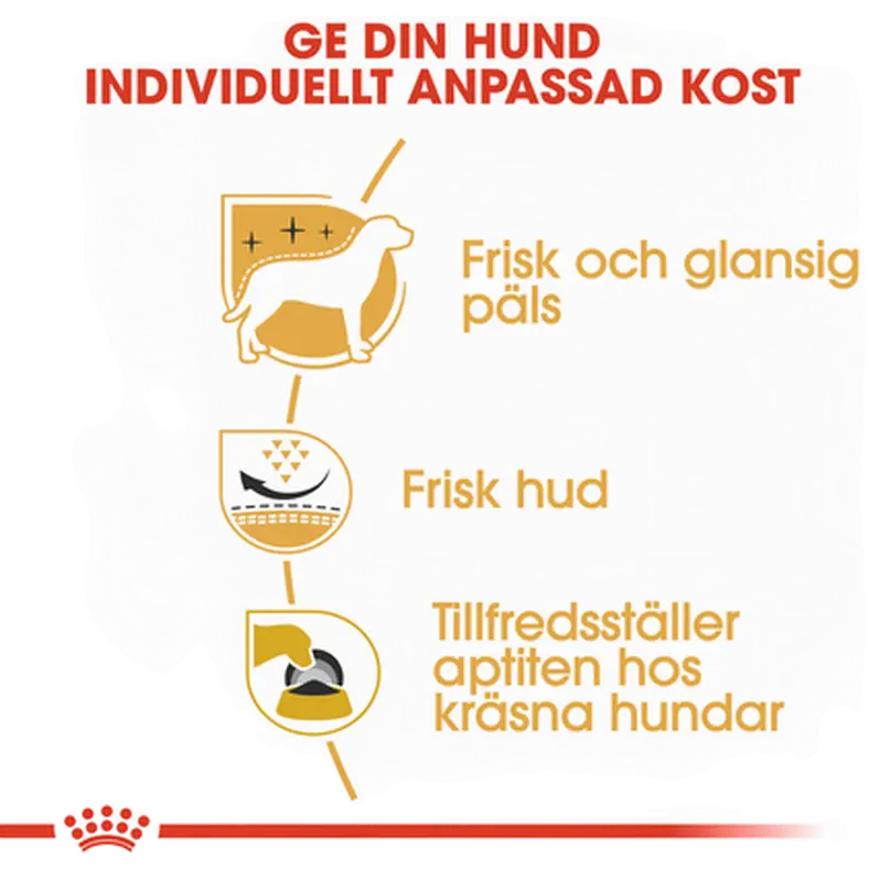 Breed West Highland Terrier Adult Dry koiranruoka