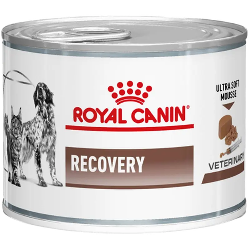 Gastrointestinal Recovery Ultra Soft Mousse Märkäruoka kissoille ja koirille