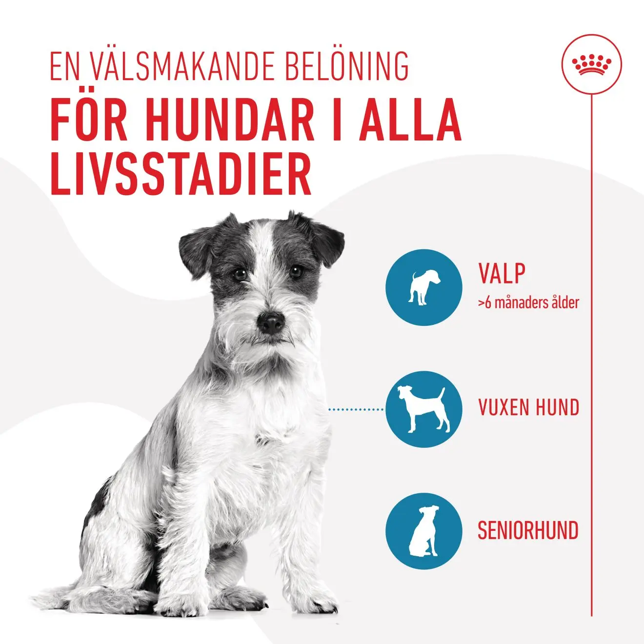Royal Canin Training Treats – træningsgodbidder til hunde fra 6 mdr.
