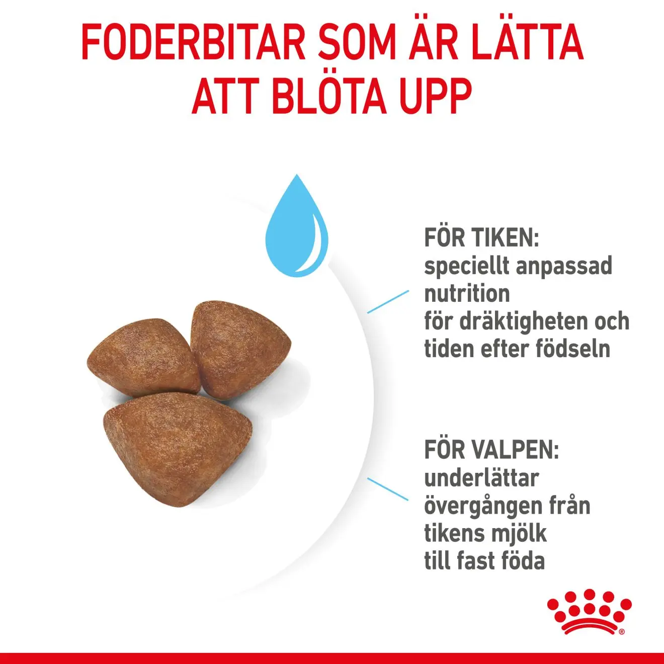 Mini Starter Mother &amp; Babydog Tørrfôr for hunder