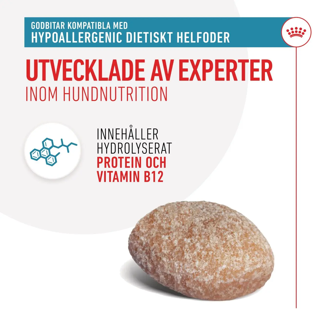 Royal Canin Veterinary Hypoallergenic Treats – godbidder til allergiske hunde
