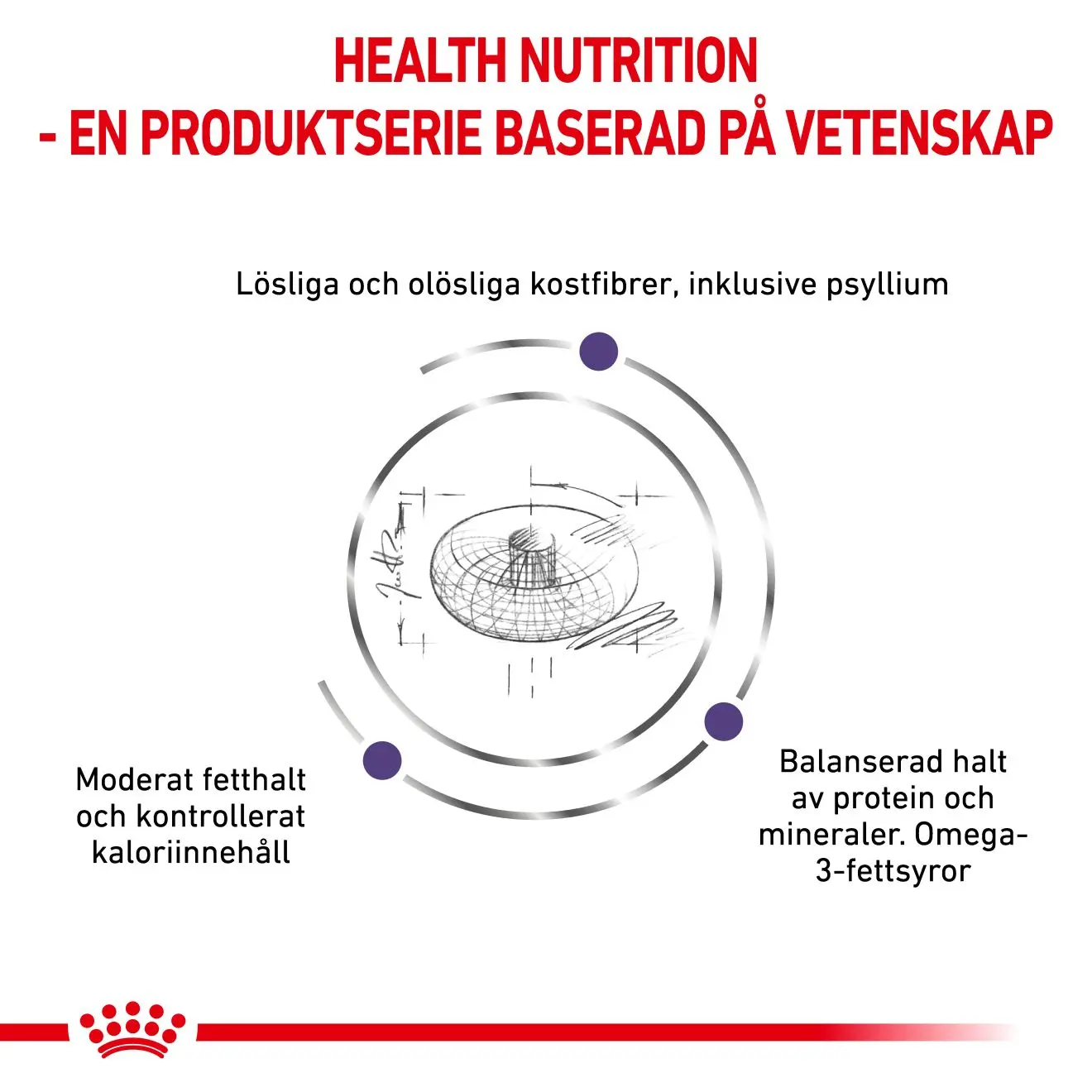 Kastroitu aikuinen iso koira Kuivaruoka koirille