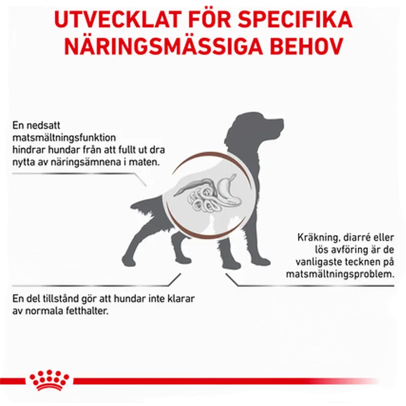 Gastrointestinal Low Fat Torrfoder för hund