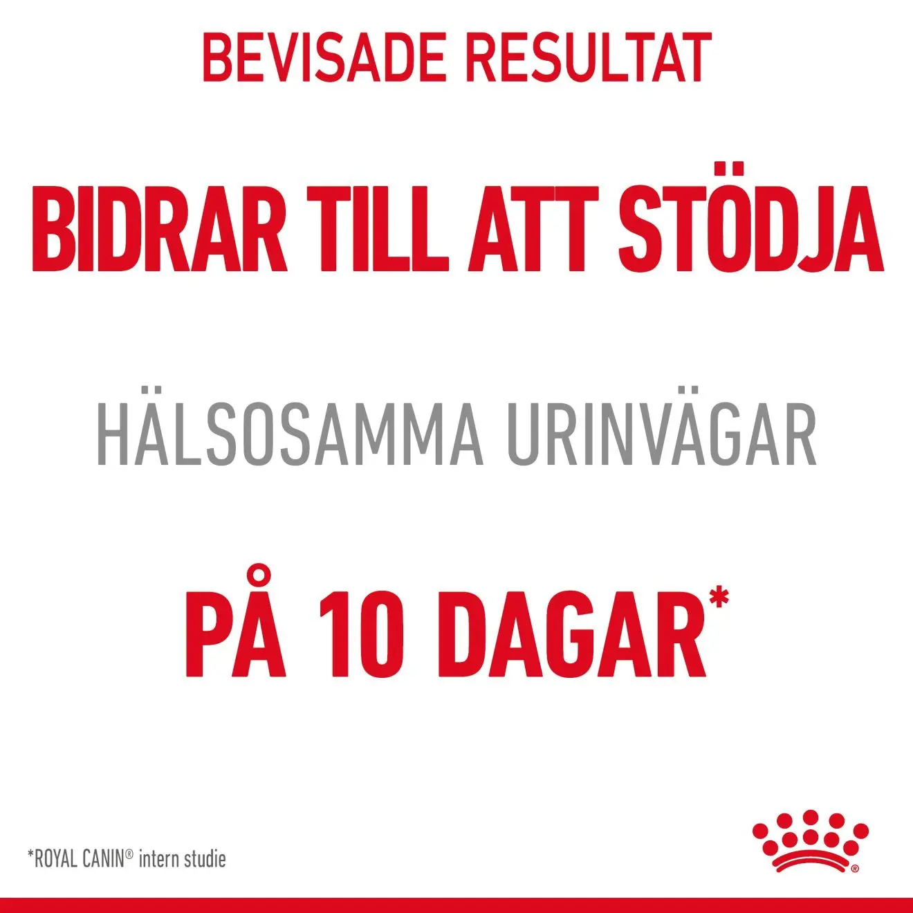 FCN Urinary Care Gravy Adult kissan märkäruoka