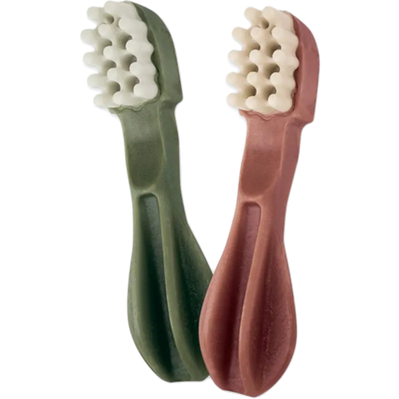 Toothbrush Star Dental