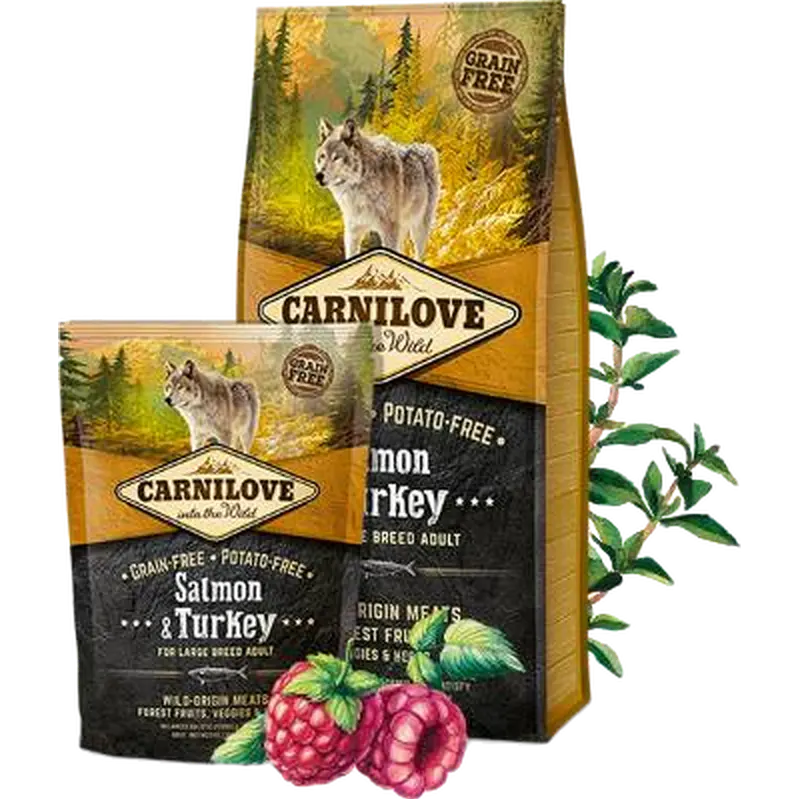 Large Breed Adult Salmon & Turkey