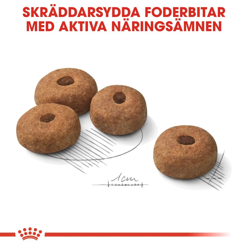 Maxi Steriloitu aikuisten kuivaruoka koirille