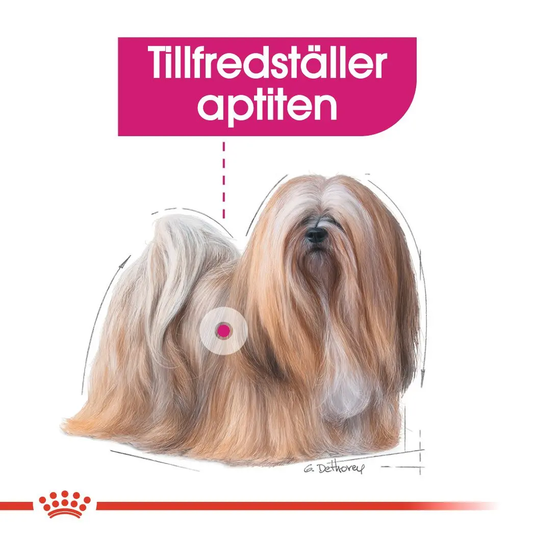Exigent Adult Märkäruoka koirille