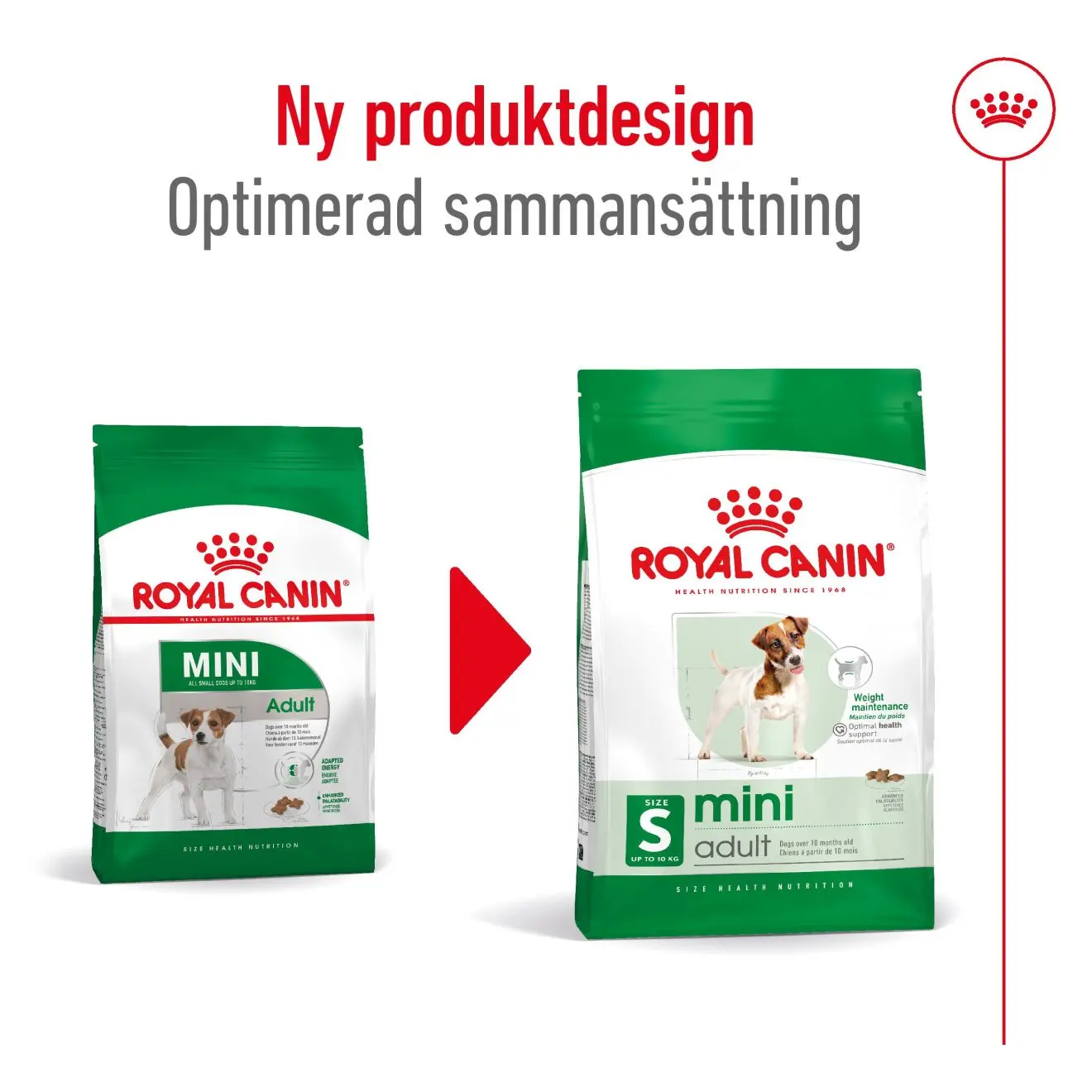 Mini Adult Torrfoder för hund