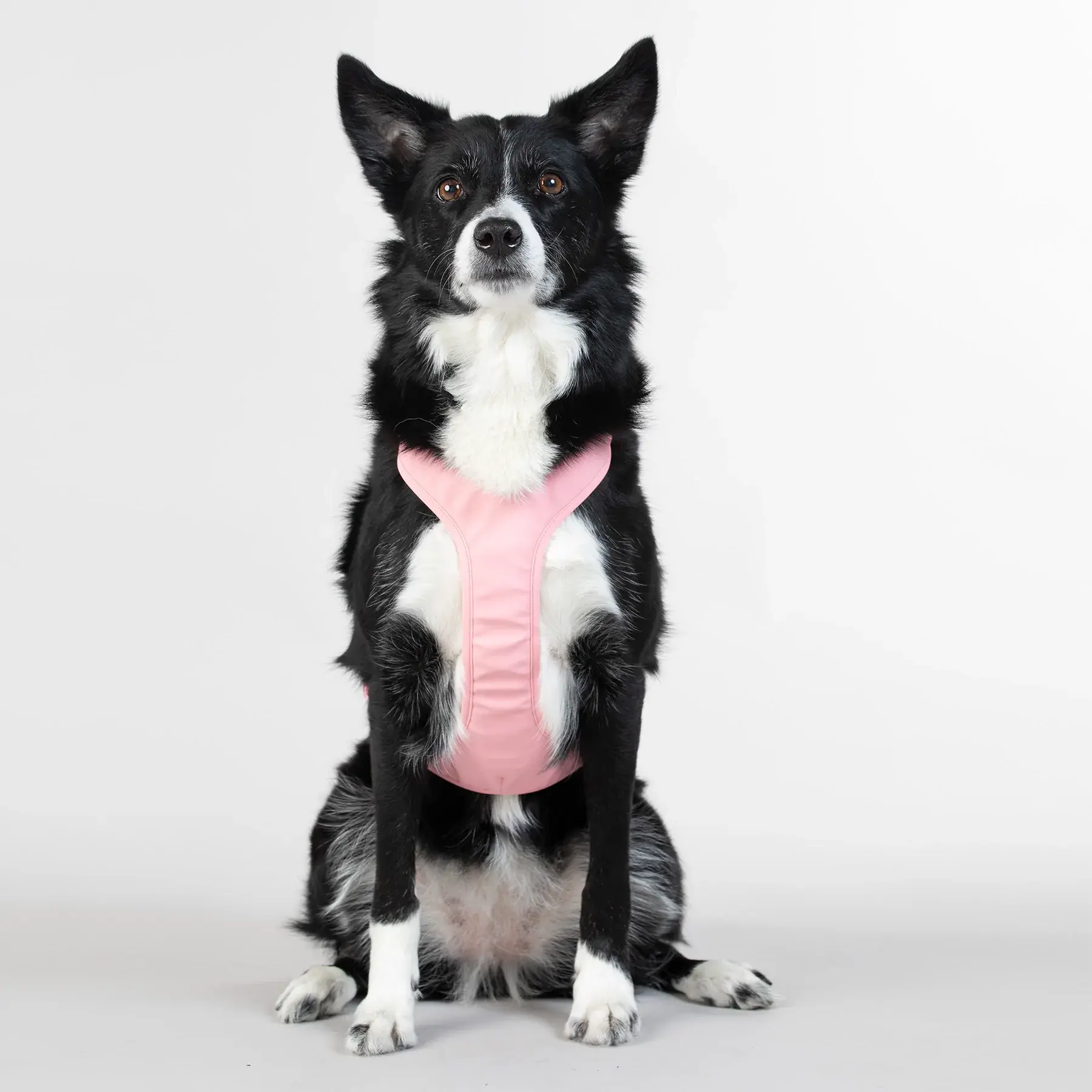 Visibility Harness Pink