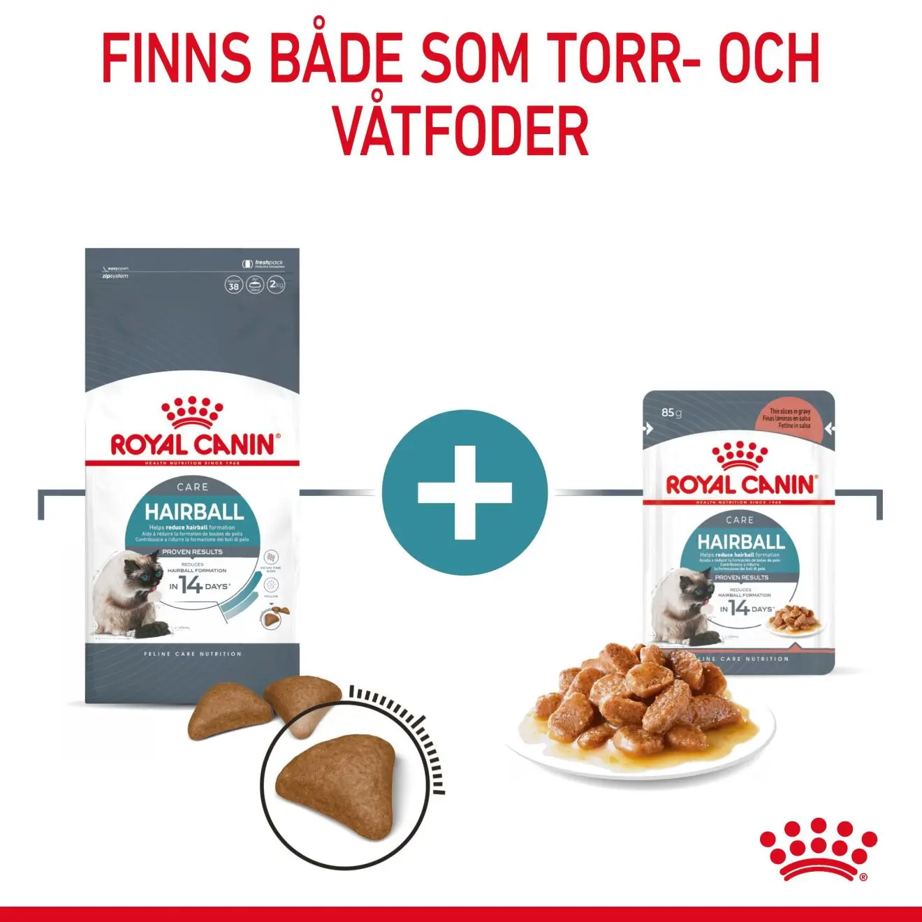 FCN Hairball Care Gravy Adult kissan märkäruoka