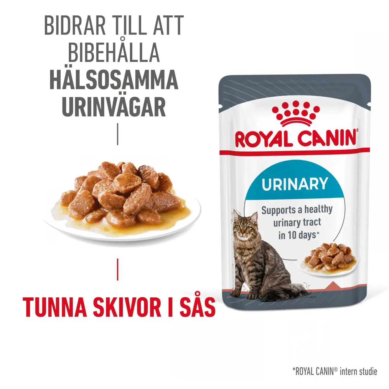 Urinary Care Gravy aikuisten märkäruoka kissoille 85 g x 12 kpl - annospussit