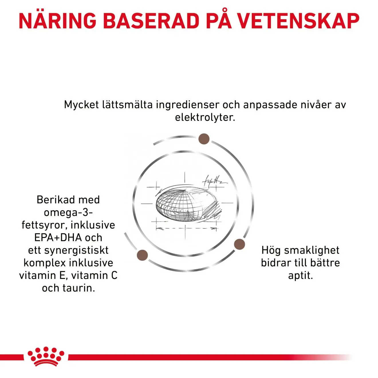 Gastrointestinal Torrfoder för hund