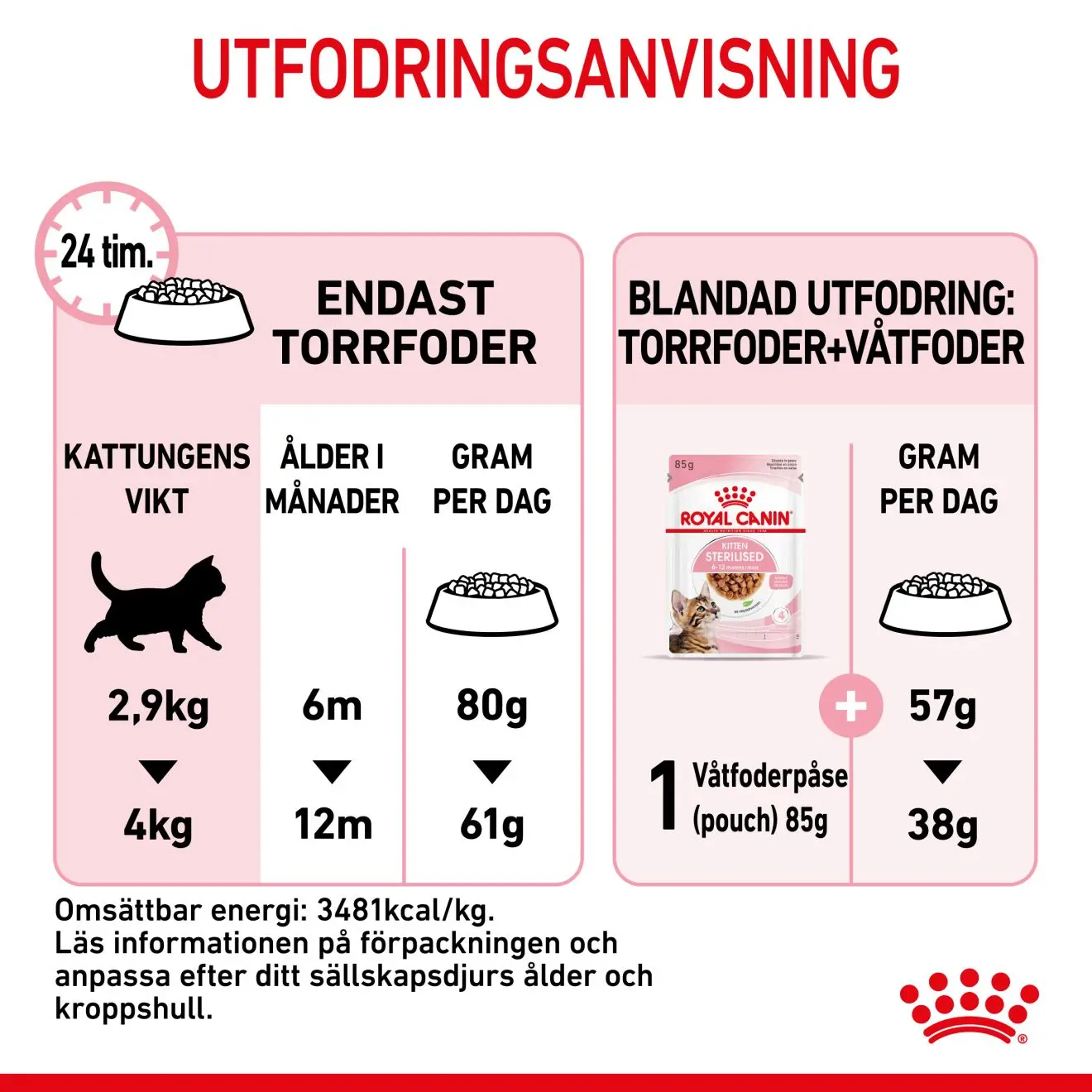 Kitten Sterilised kissanpennun kuivaruoka